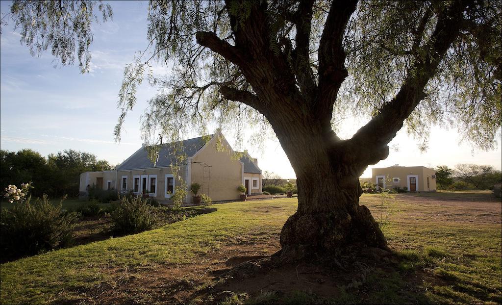 Rietfontein Ostrich Palace Vleirivier Kültér fotó