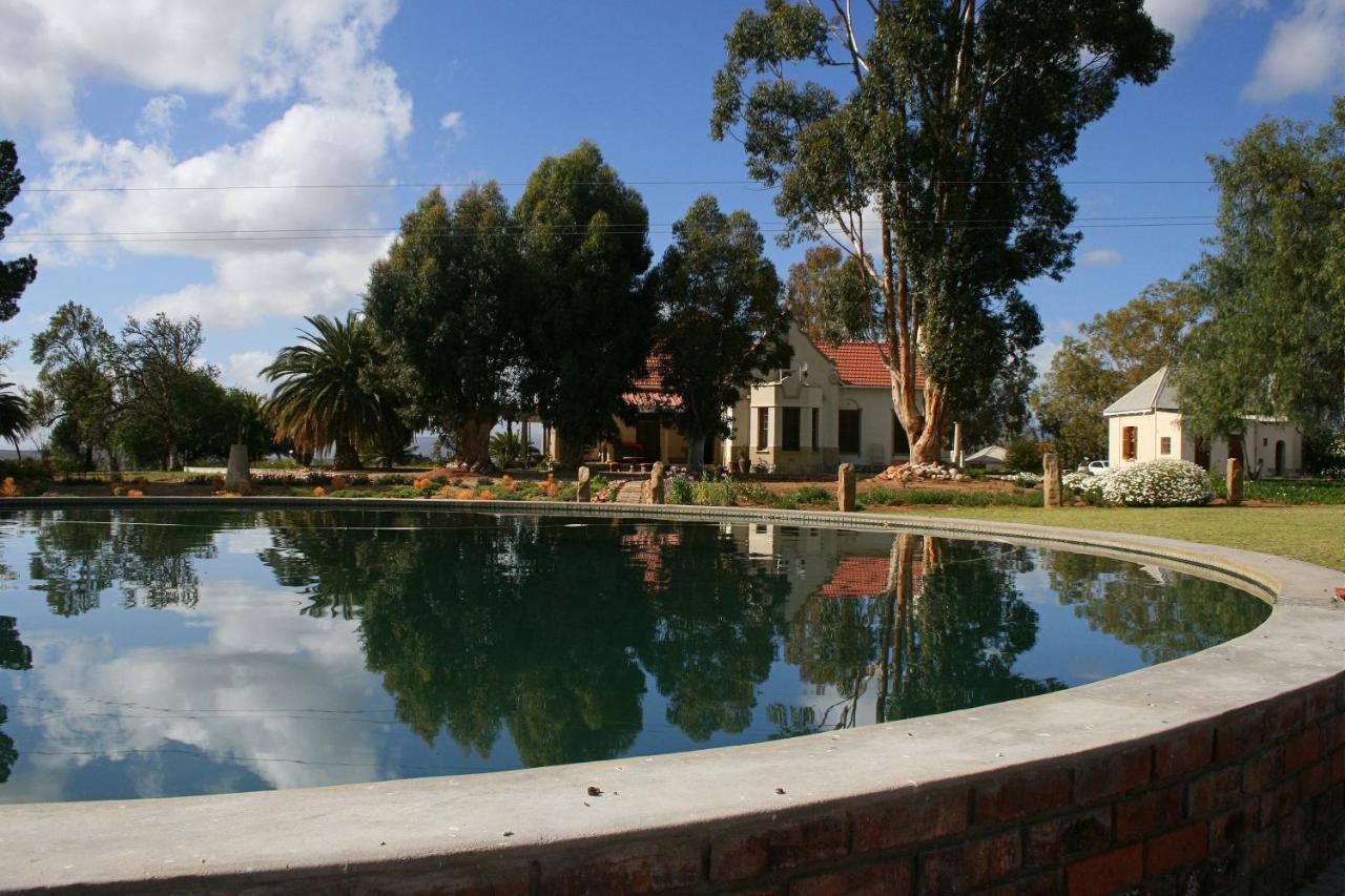 Rietfontein Ostrich Palace Vleirivier Kültér fotó
